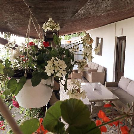 Casa Chitu Guest House Муригьол Екстериор снимка