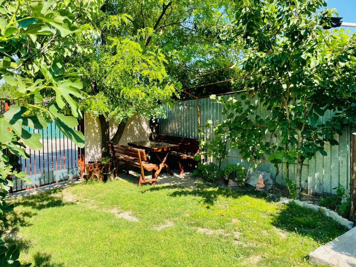 Casa Chitu Guest House Муригьол Екстериор снимка