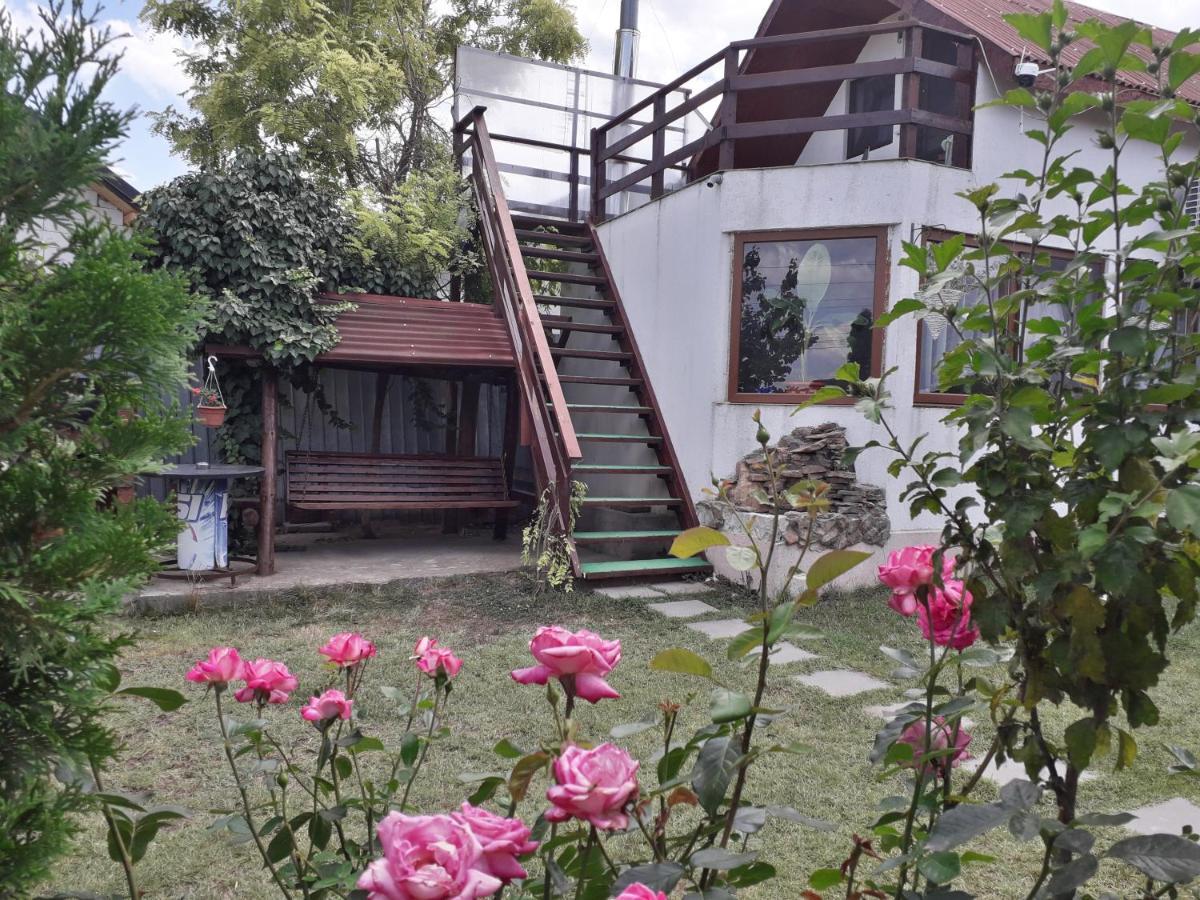 Casa Chitu Guest House Муригьол Екстериор снимка