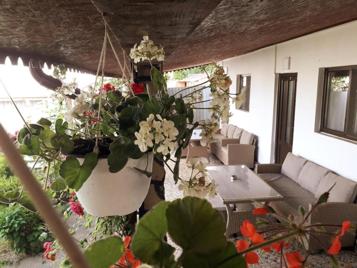 Casa Chitu Guest House Муригьол Екстериор снимка
