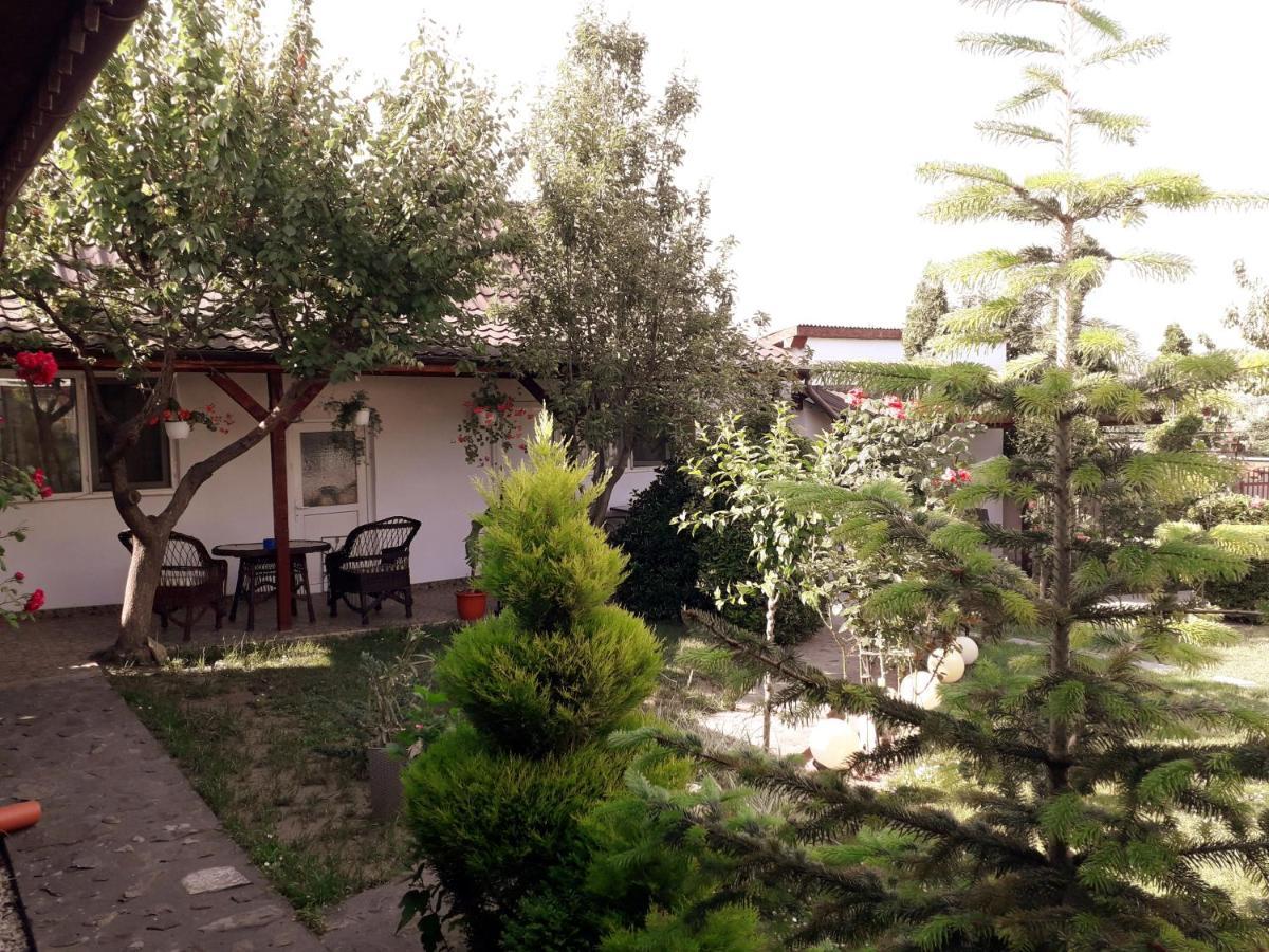 Casa Chitu Guest House Муригьол Екстериор снимка