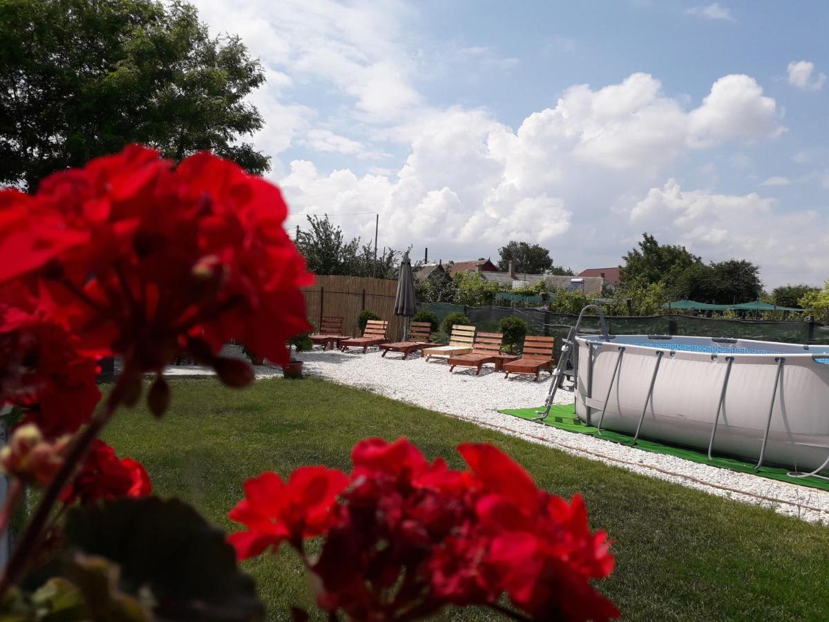 Casa Chitu Guest House Муригьол Екстериор снимка