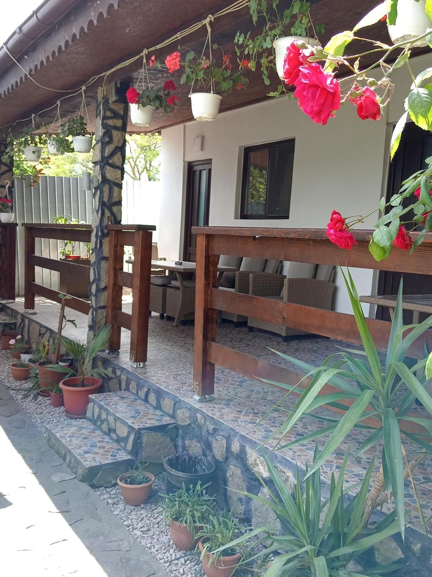 Casa Chitu Guest House Муригьол Екстериор снимка