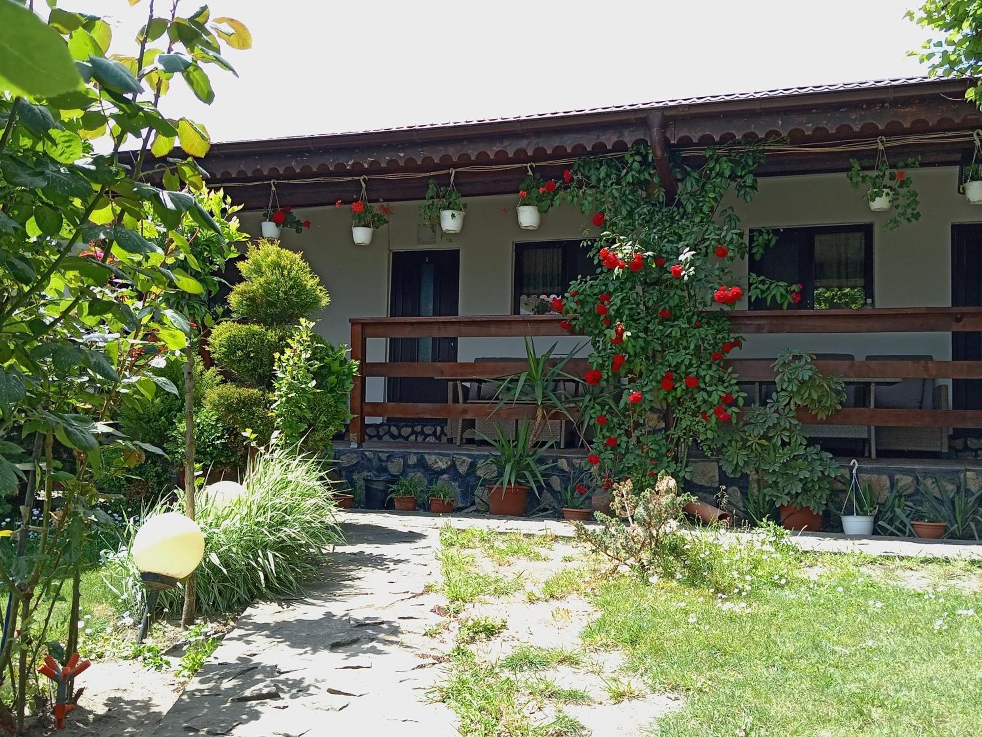 Casa Chitu Guest House Муригьол Екстериор снимка